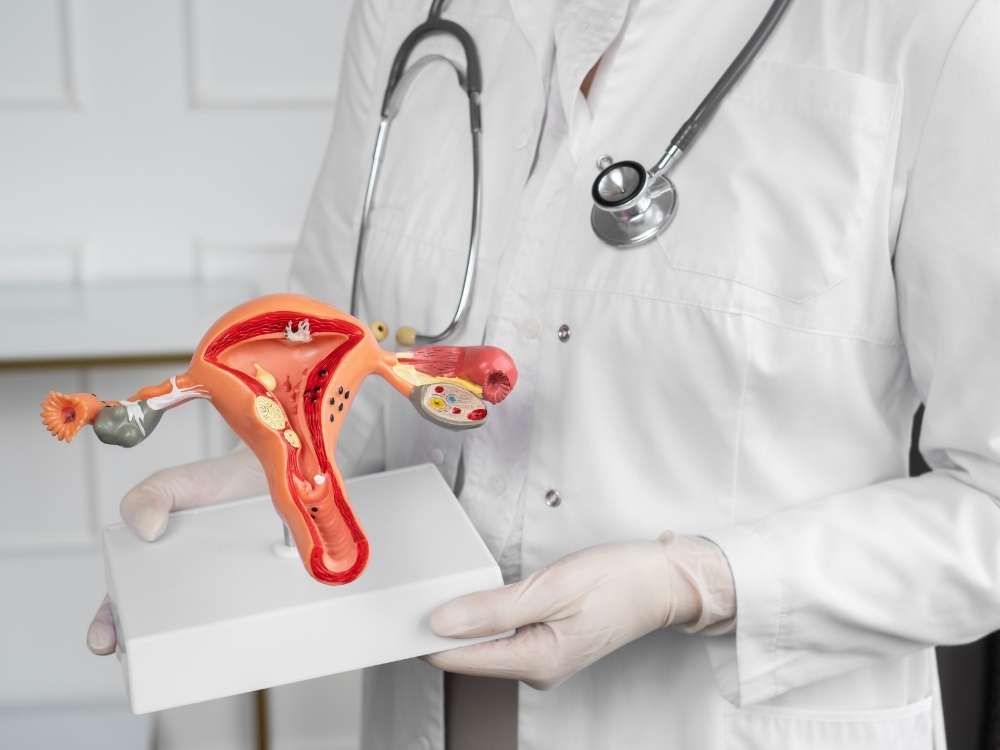 Ginecólogo explicando con modelo anatómico de útero durante una consulta de obstetricia en Clínica NovaSalud, Latacunga.
